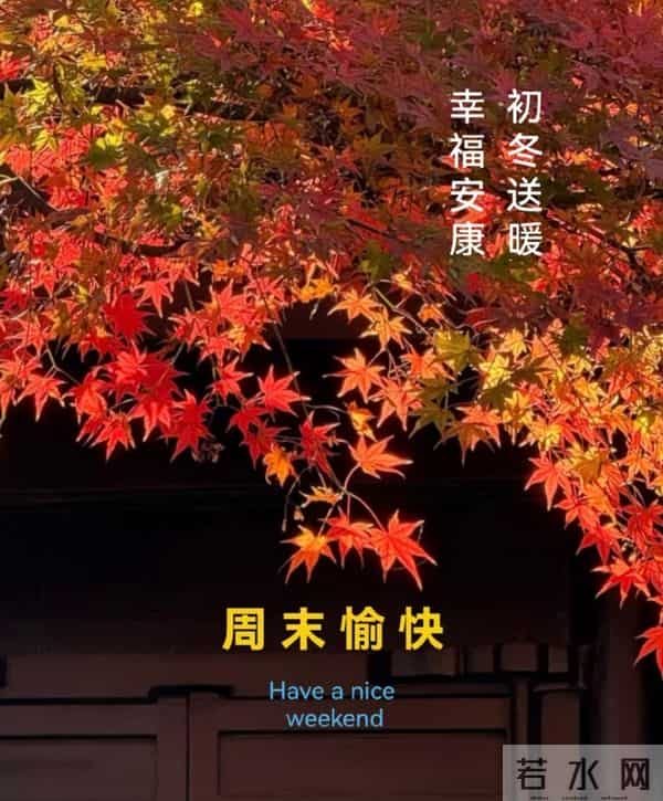 早上好 十一月的最后一天 早上好温馨问候语 难忘的十一月三十日