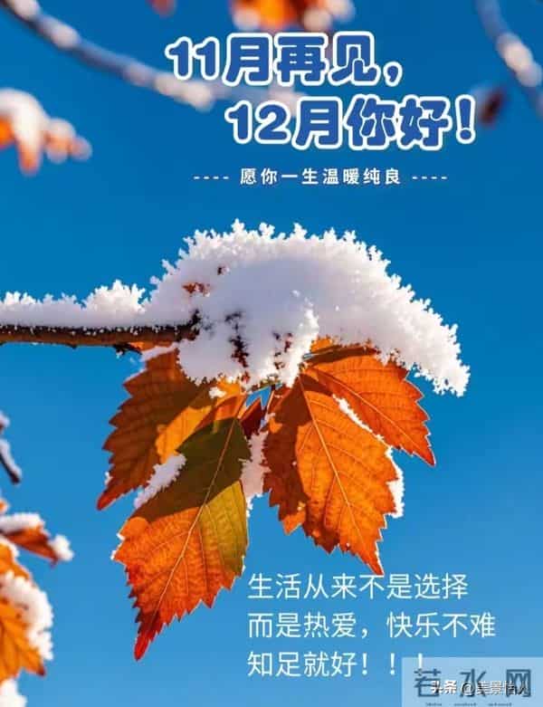 辞别十一月 迎来十二月新篇 愿日子清欢 万事顺意 前路皆有温柔期许