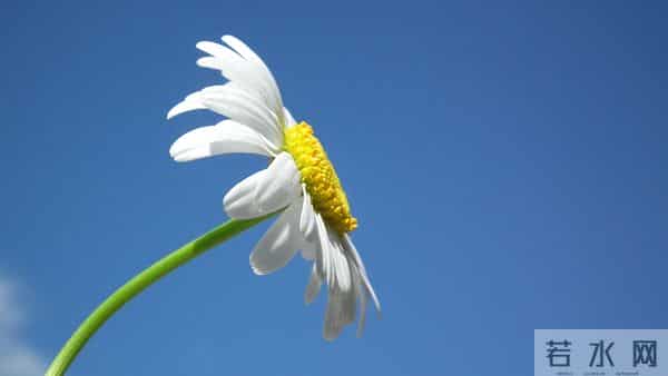 12月1号至12月5号星象，双子座，万事皆胜意！