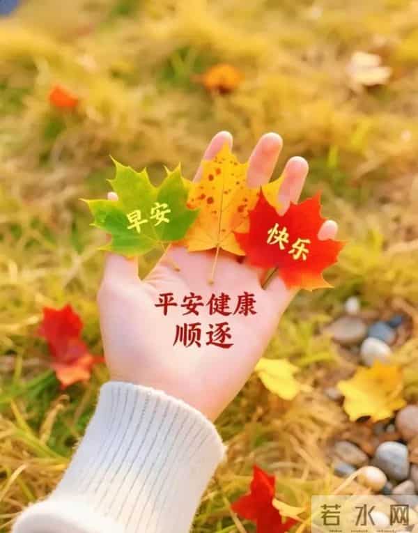 「2025.12.1」今日18张早安祝福图片问候，温馨早上好祝福语