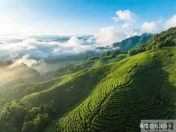 莫言再次语出惊人：“什么同事、同学、朋友，都是人生过客