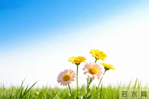 人最好的活法：烦心事，少想；别人事，少管