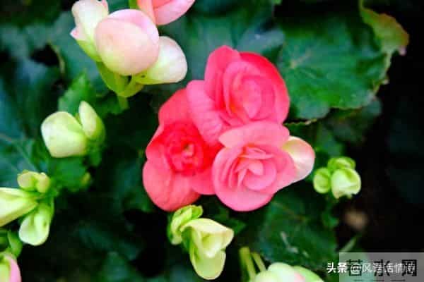 90%的情人走不到最后，不是因为没钱没性，而是少了这个关键字