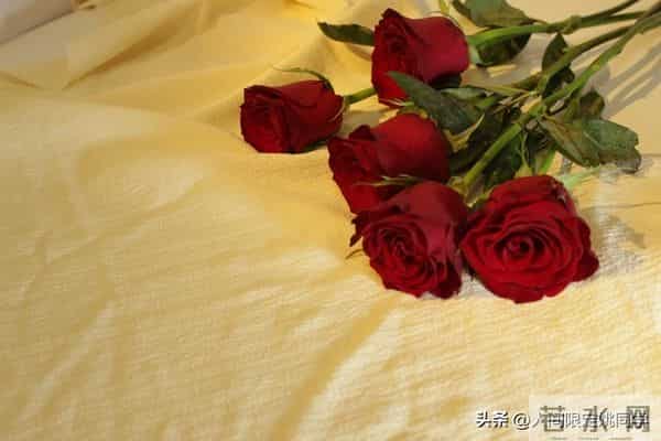 感情能承载的 ，是悲欢离合。感情不能承载的，是有情人难成眷属。