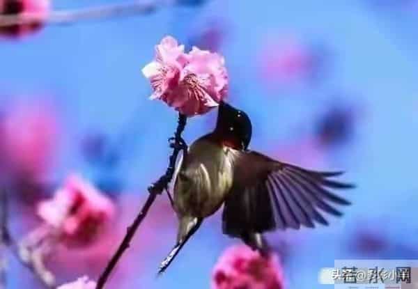 两性关系：不管你信不信，女人过50岁，都有如下7个症状，要接受