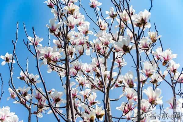 女人爱不爱你，看她会不会主动要钱，真的很准！