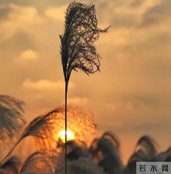 玄学：尽量不要跟身边任何人！包括你的亲人，分享这4件事！