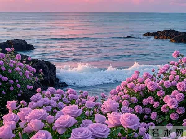 明天起，便是你的命运转折点，愿你时来运转，苦尽甘来