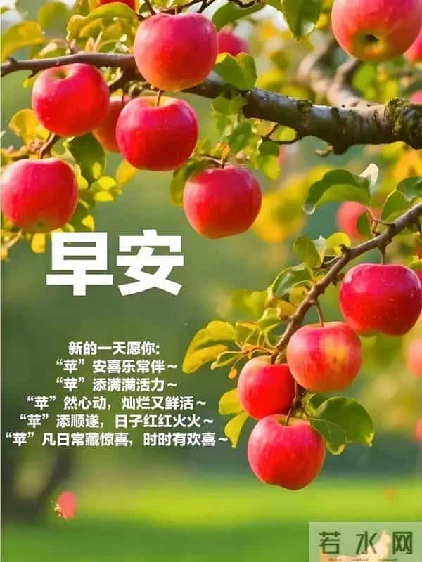 11月30日周日早安 早上好图片最新今天 温馨淡雅的周日早安美图