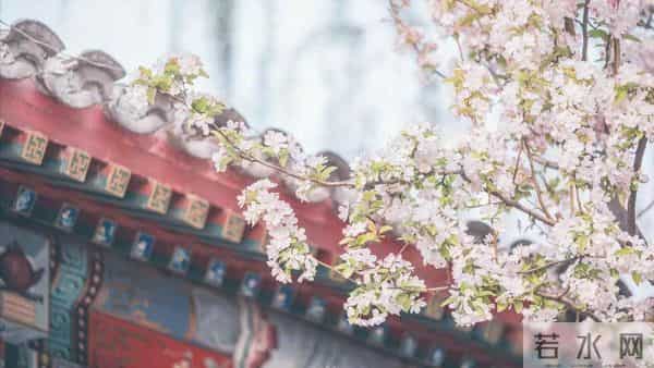 男人有7200退休金，跟搭伙女人AA养老，女人去打工男人却问谁做饭