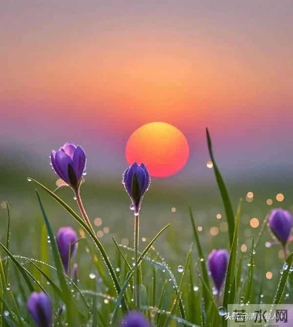 女人爱到憋不住，才会说这3句话（男人别傻听不懂）