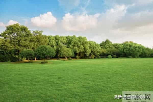 90年去相亲，姑娘见到我，当时就愣住了：你还记得我吗？