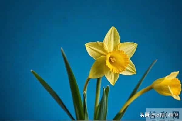 女人默许升温时，身体藏不住的3种自然反应