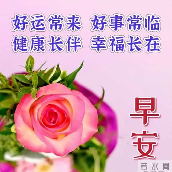 11月30日早安高质量文案，温暖早上好问候祝福，愿健康常伴