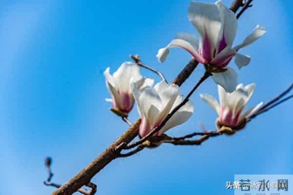 女人爱不爱你，看她会不会主动要钱，真的很准！