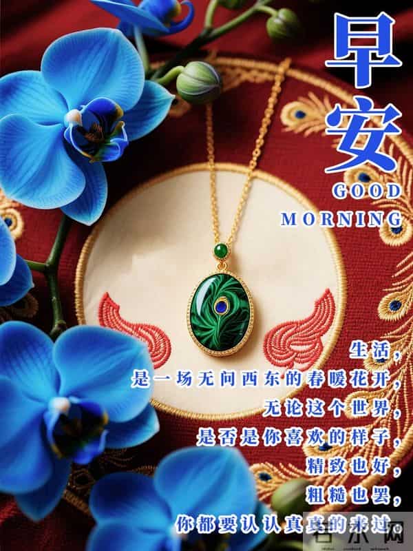 十二月第一天你好愿冬雪藏温柔，岁月赠安暖愿你梦之所及洒满欢笑