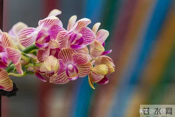 男人一碰女人这里，她就立马投降的两处“死穴”