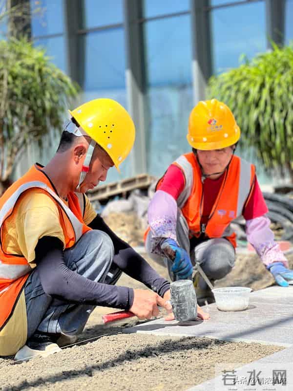 前夫突然离世，儿子打来电话，丈夫的反应让我泪目