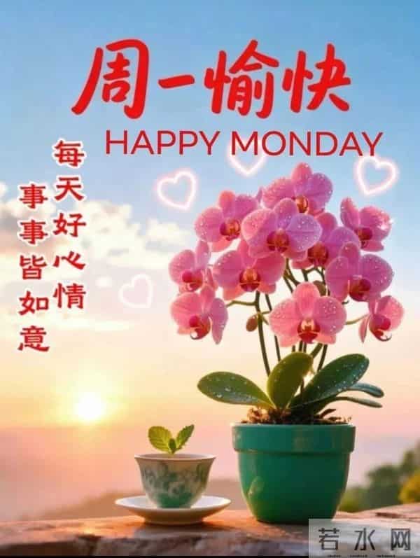 「冬日暖阳」12月1日早上好！初冬的早晨祝福问候语，早安图片