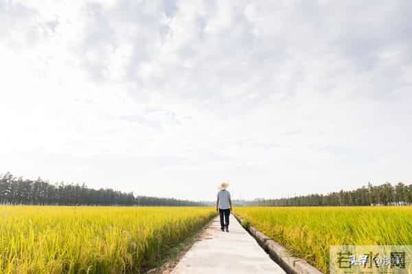 老伴走了以后就会明白，人一辈子最好的活法，就是这十二个字。