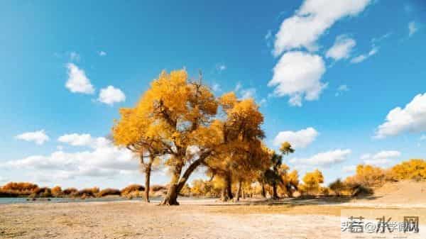 老了才发现，儿子儿媳讨厌你时，最聪明的活法就一个字：让