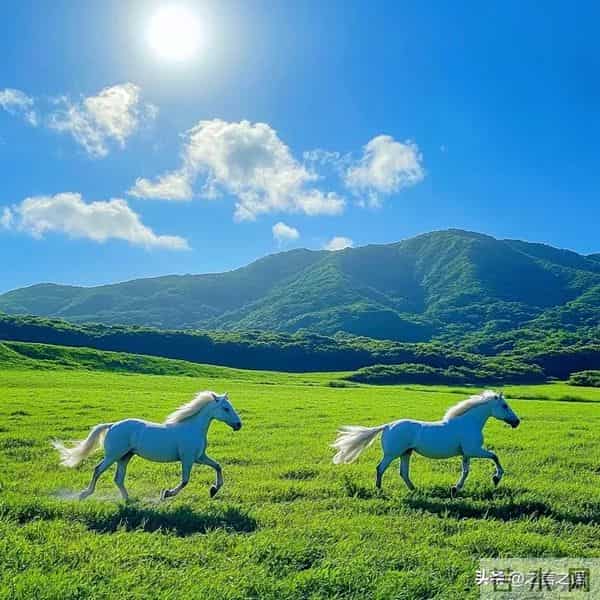 张晓磊爆款文章：[低头要有勇气，抬头要有底气]