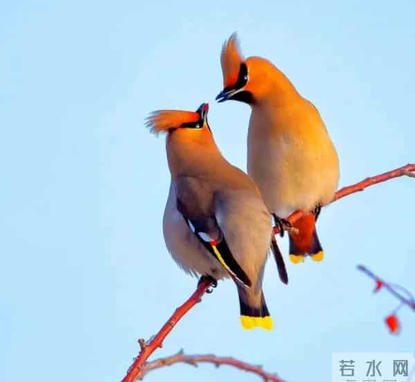 人贵知恩，贵在感恩（深度好文）