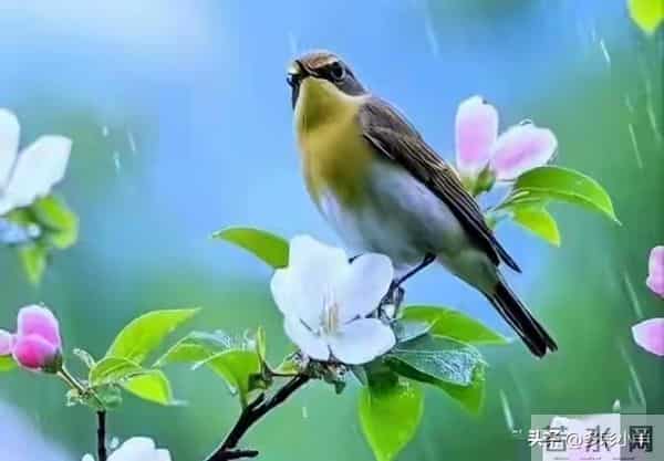 两性关系：不管你信不信，女人过50岁，都有如下7个症状，要接受