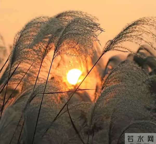 玄学：尽量不要跟身边任何人！包括你的亲人，分享这4件事！