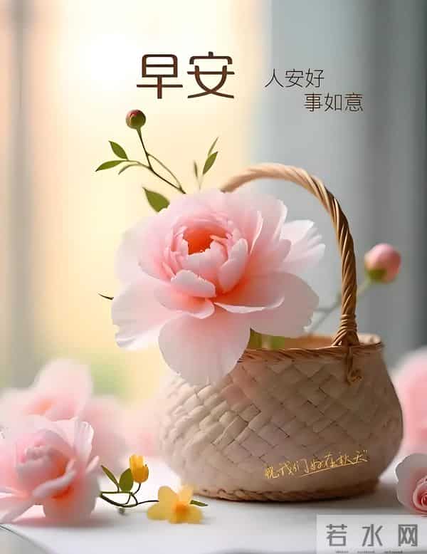 朋友圈早安文案，新的一天，愿你不只抬头望见灯塔的光，更能迈出