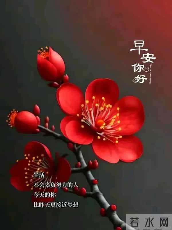 晨起暖心祝福图丨愿山河无恙，人间吉祥，家家幸福，人人快乐！