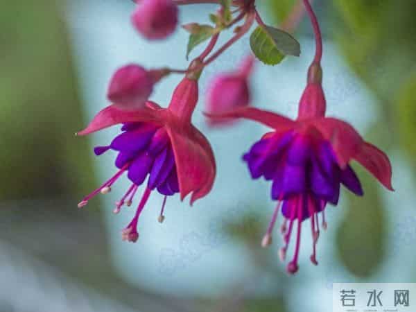 聪明的女人，发现男人不爱自己时，会这样处理