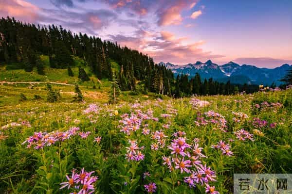 不管你信不信，女性过了50岁以后，特别渴望以下三种需求！