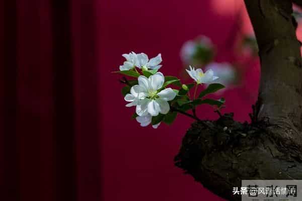 90%的情人走不到最后，不是因为没钱没性，而是少了这个关键字