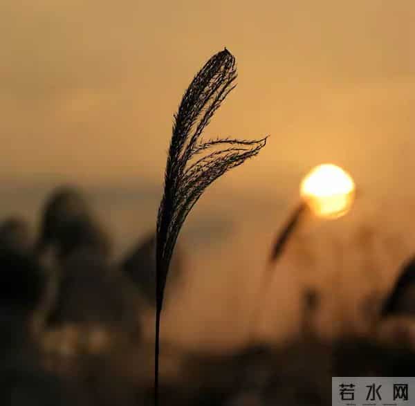 玄学：尽量不要跟身边任何人！包括你的亲人，分享这4件事！