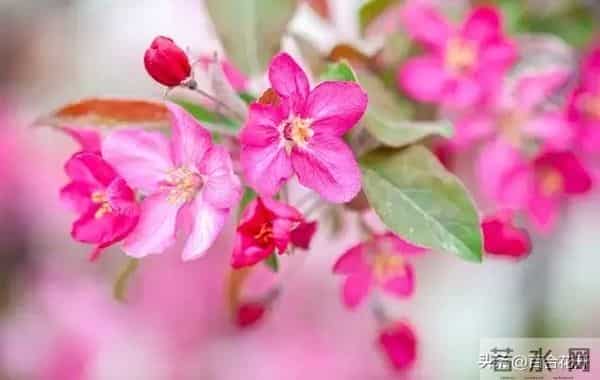 两性关系：男人过60岁，与女人相处牢记这3点，让生活甜如蜜