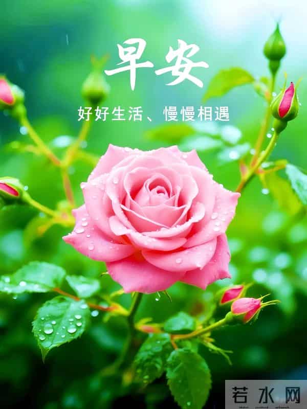 早上好早安祝福美图-浅冬生寒意，微光暖人心