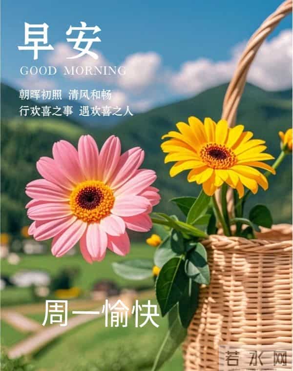 2025年12月1日早上好 早安周一愉快 早安温馨精美美图祝福语 早上好