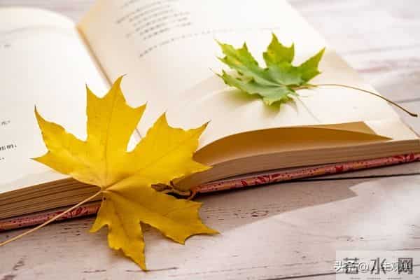 31页日光书—最是人间留不住，朱颜辞镜花辞树—再见11月你好12月