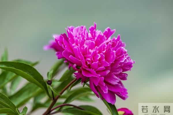 我在等，我在盼，等一场重逢，盼一世相依