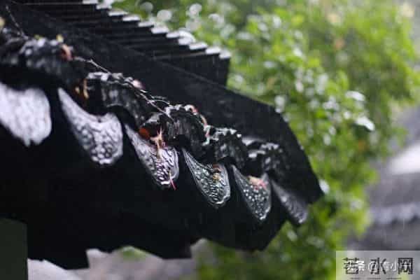 一个院的两个女人——妯娌的算盘（18）