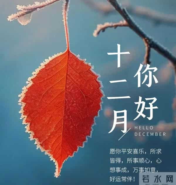 2025年十二月第1天，周一早晨祝福，早安幸福安康