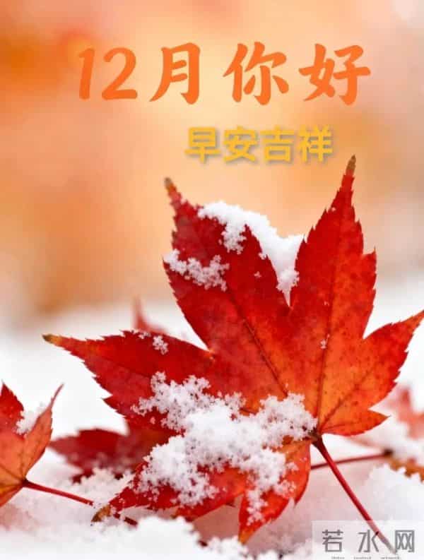 「2025.12.1」今日18张早安祝福图片问候，温馨早上好祝福语