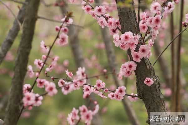 女人别冲动离婚：家在人在，别让一时意气毁了半生安稳