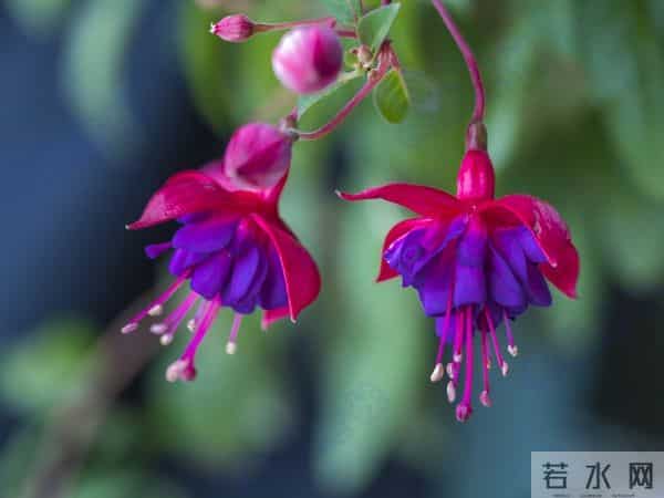 聪明的女人，发现男人不爱自己时，会这样处理