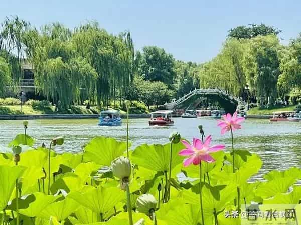 第一名：天秤座，11月29日就在这近两天，得跟你说个实在话！