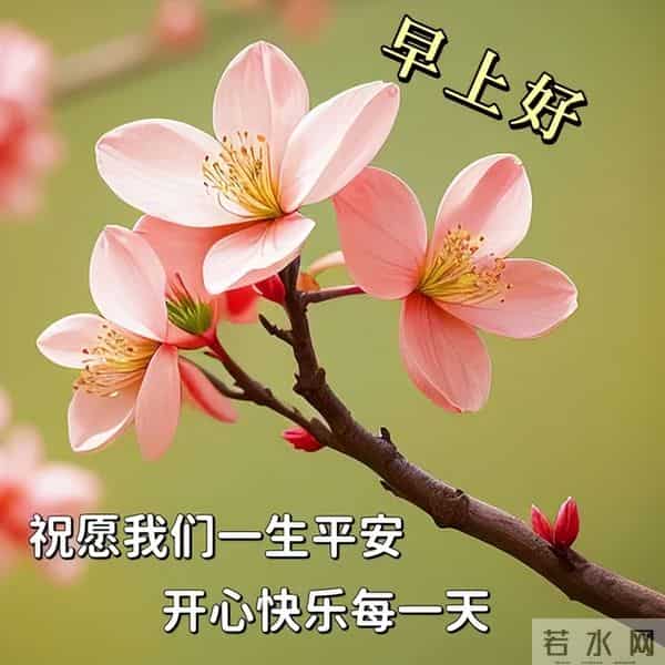 11月30日早安高质量文案，温暖早上好问候祝福，愿健康常伴