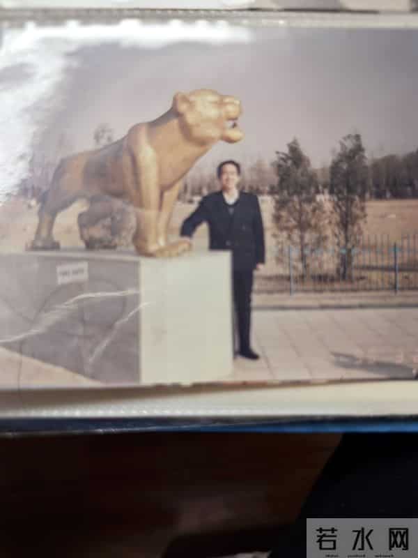 我的婚姻故事（41）