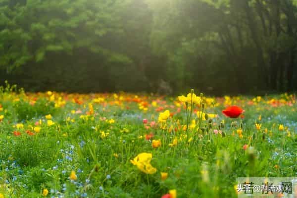 发现了没有，很多丧偶的女人，在外面从来不说！自己是已经丧偶的