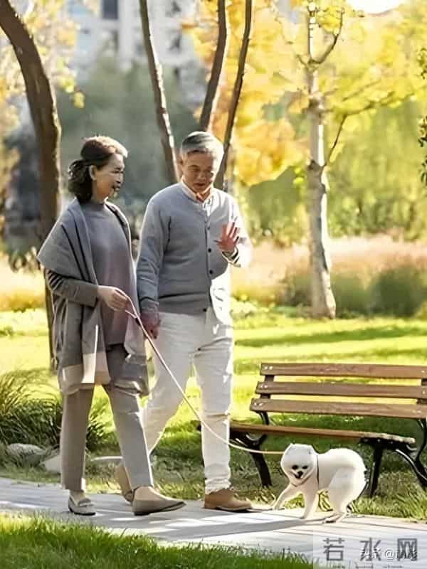 退休后最好的活法：深耕四件事，开启人生新篇章